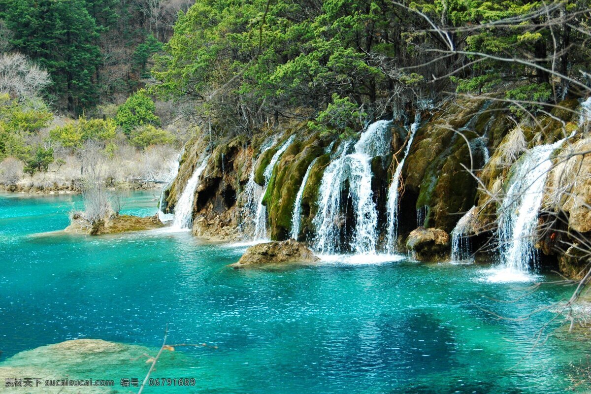 九寨沟 箭竹 大海 瀑布 绿水 山石 流水 绿树 水面 自然风景 自然景观