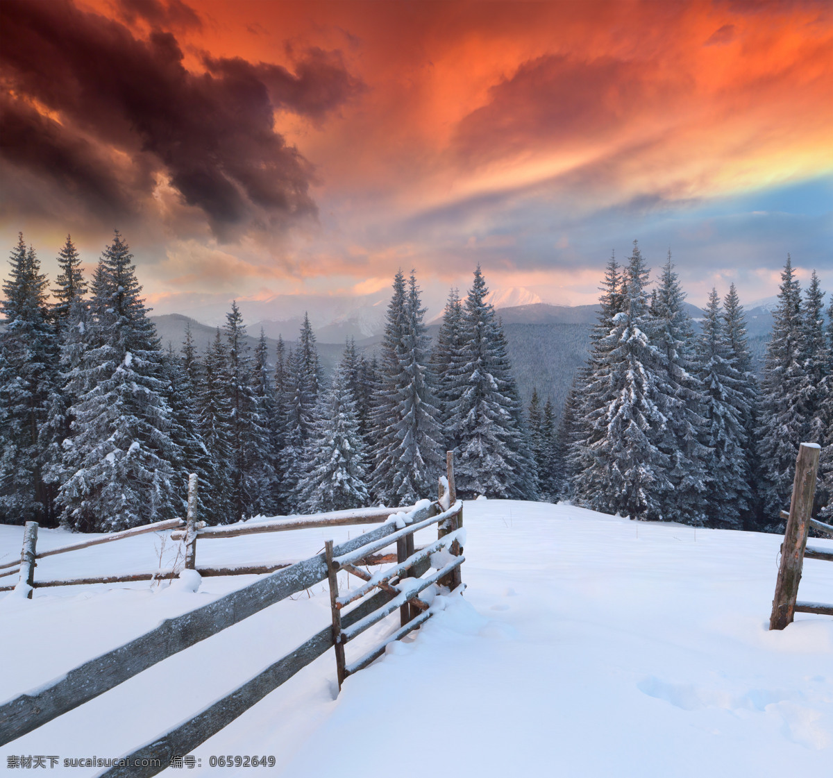 傍晚 山林 雪景 夕阳 树林 松树 栅栏 雪地 雪景图片 风景图片