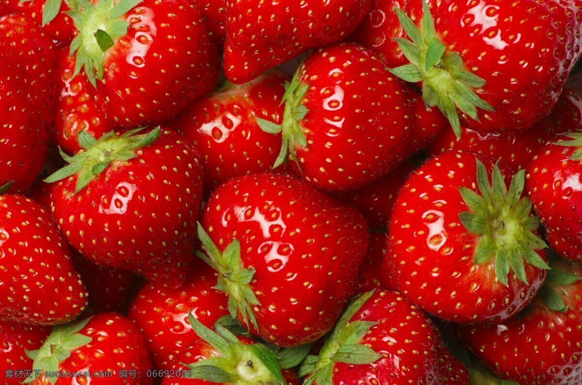 草莓 唯美 新鲜 水果 鲜果 草莓酒 红草莓 冰草莓 生物世界