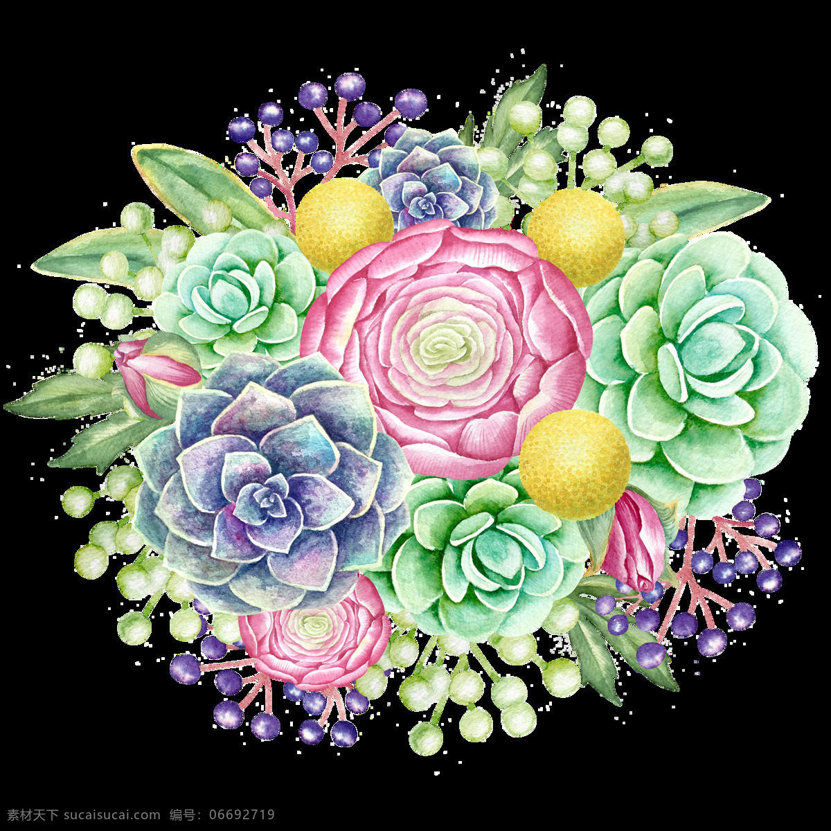 高贵 花卉 卡通 透明 盛开 抠图专用 装饰 设计素材