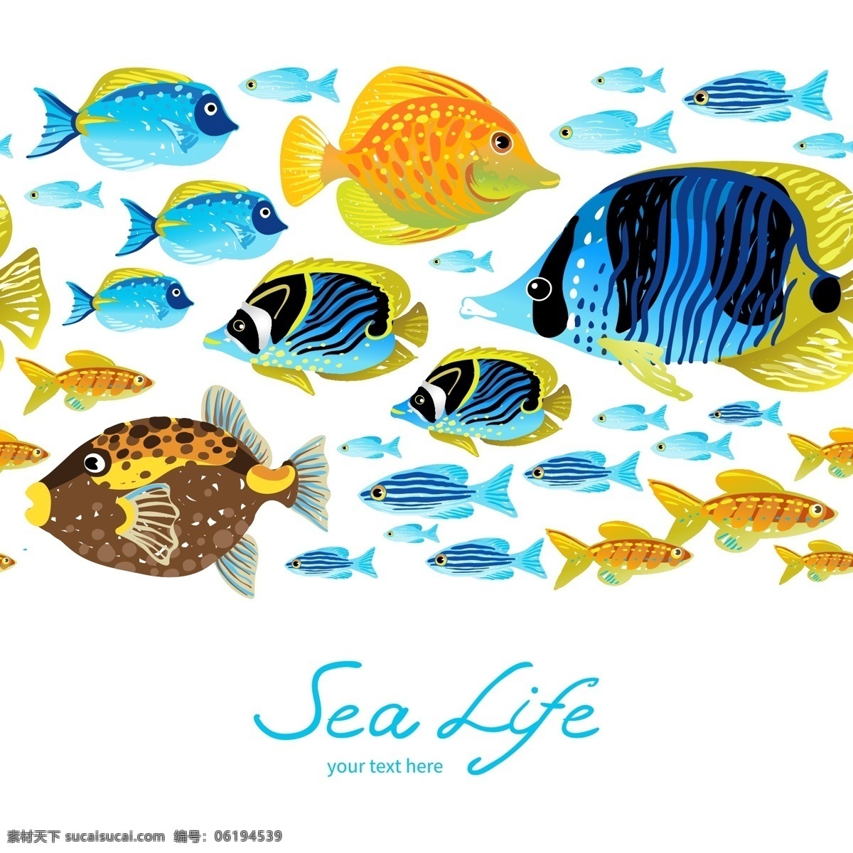 海洋鱼类 水族馆 海洋生物 海报 矢量 卡片 插图 深蓝 海洋 背景 蓝色背景 蓝色 海洋馆 热带鱼 蓝色素材 素材背景 背景蓝色 素材蓝色 海洋馆背景 生物世界 鱼类