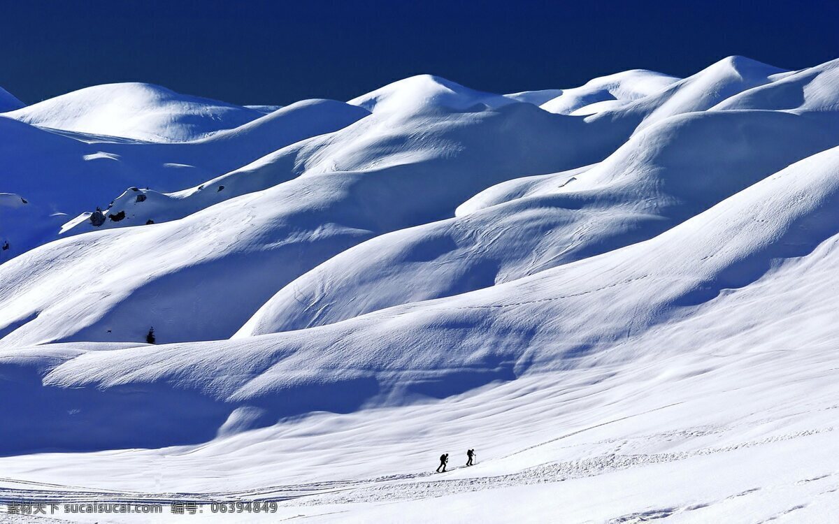 滑雪 国外 积雪 雪山 树木 冬季 山脊 滑雪板 游客 国外旅游 旅游摄影 蓝色