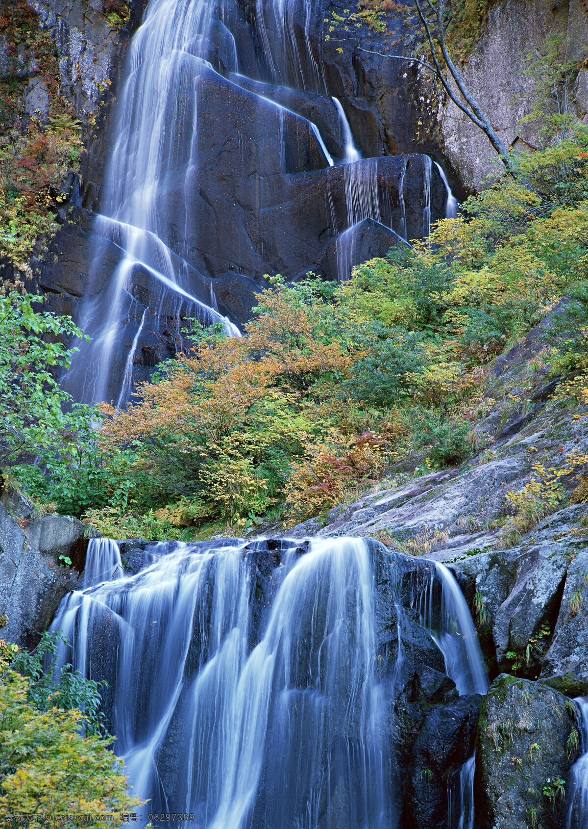 树免费下载 风景 山水风景 摄影图 树 植物 自然景观 水 家居装饰素材 山水风景画