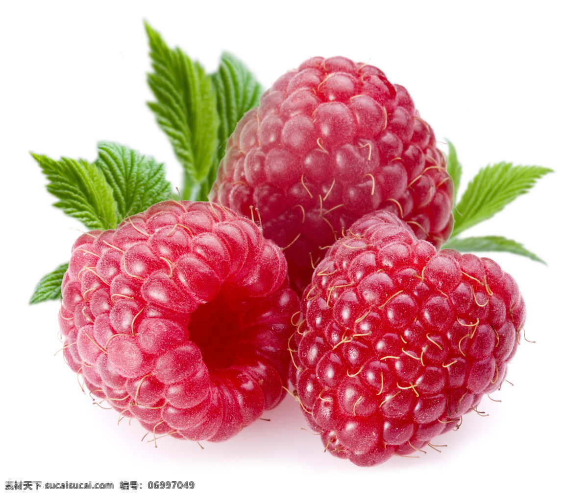 覆盆子 树莓 水果 草莓 新鲜 鲜美 叶子 绿叶 壁纸 诱人 可口 生物世界