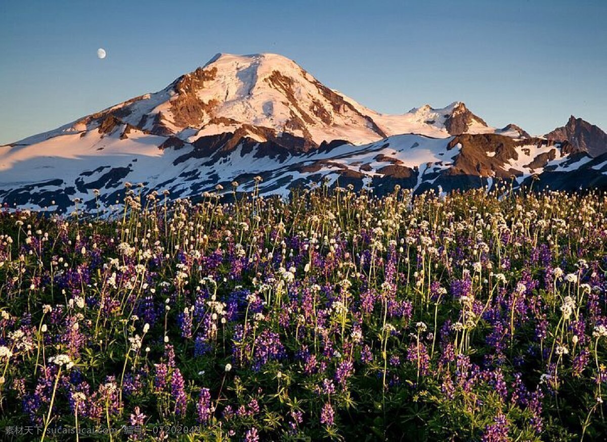 自然美景 自然景观 自然 景观 风景 景象 蓝天绿草 翠绿的山 美景 山谷 松树 林子 树林 自然风景 拍摄 小溪 河水 江湖 蓝天 白云 岩石 木板 青山 碧水 青山碧水 美景美物 景观景物 海上落日 西北落日风景 海边落日 海岸落日 夕阳晚霞 海上落日余晖 山水风景