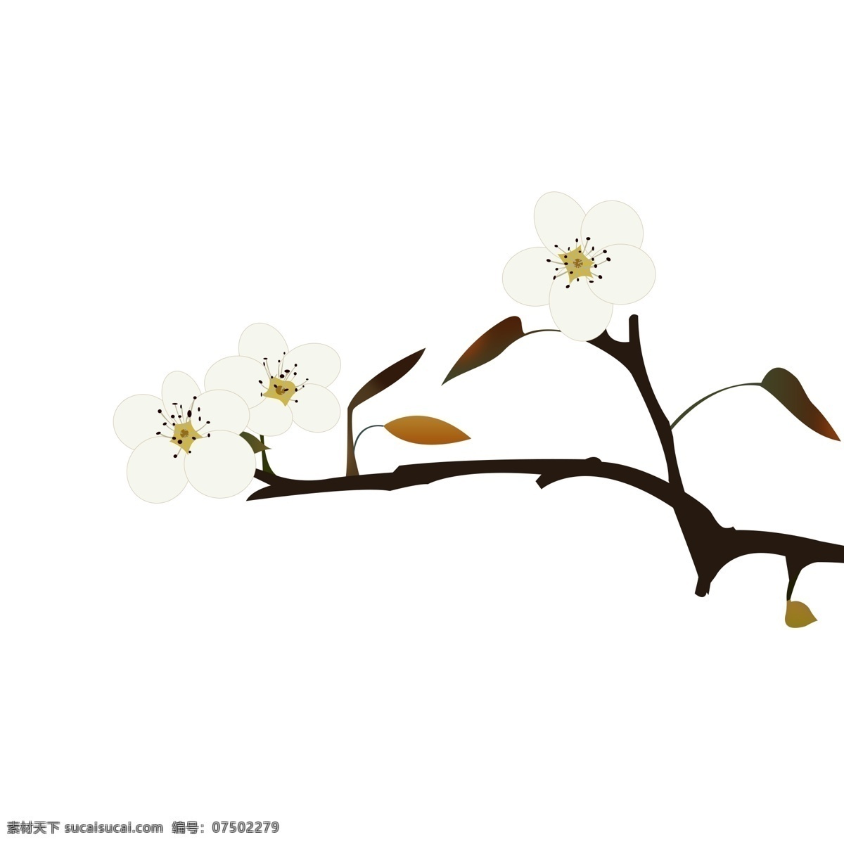 梨花 手绘 小 清晰 白色 花朵 小清新 白色花朵