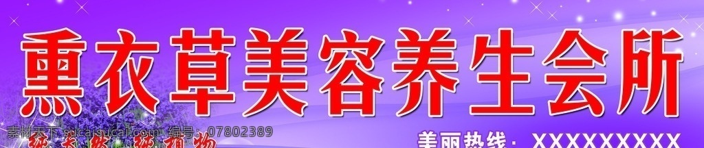 美容 养生 会所 海报 薰衣草 美容养生 紫色背景 简约 可修改文字 室外广告设计