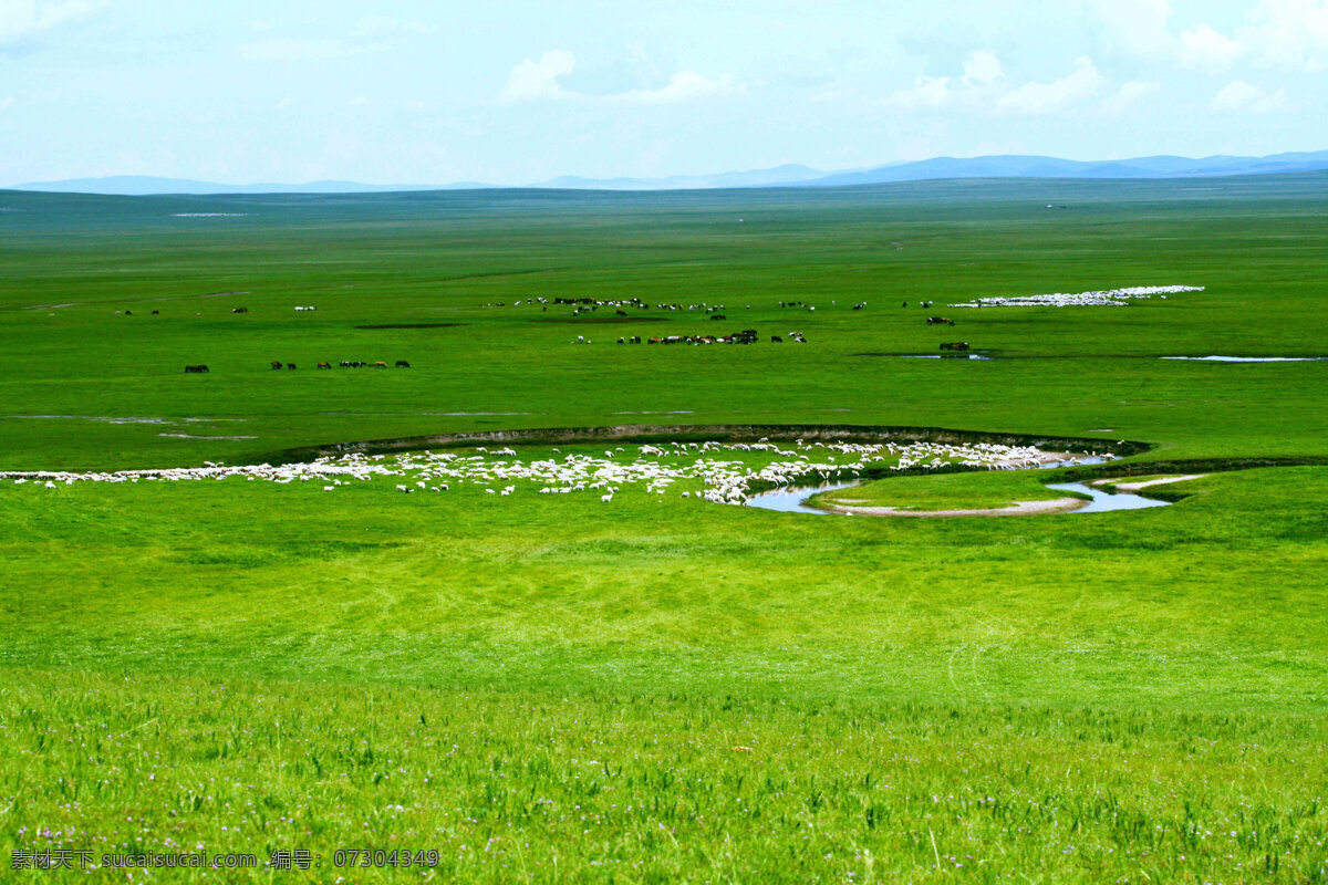 绿色草原 羊群 风景图片 草原风景 内蒙古草原 大草原 绿色 草地