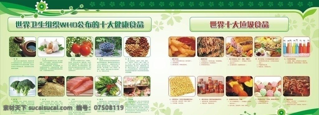 十大健康食品 十大垃圾食品 健康 绿色 生态 餐饮美食 生活百科 矢量