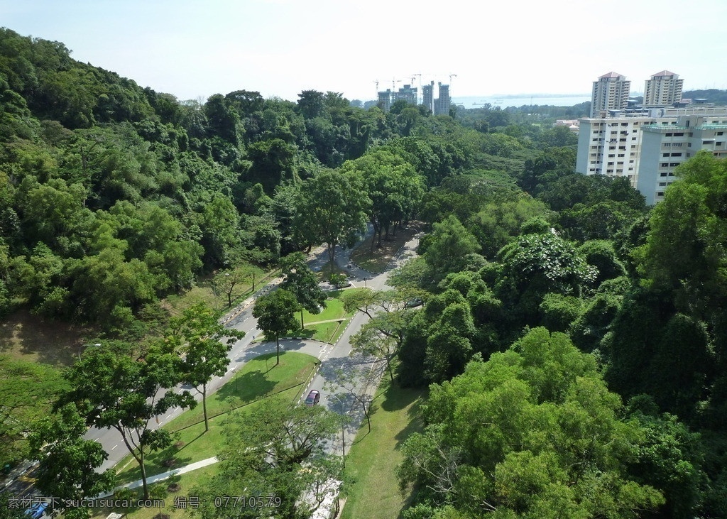 新加坡 道路 绿化 绿树 山峦 建筑 楼房 人文景观 旅游摄影