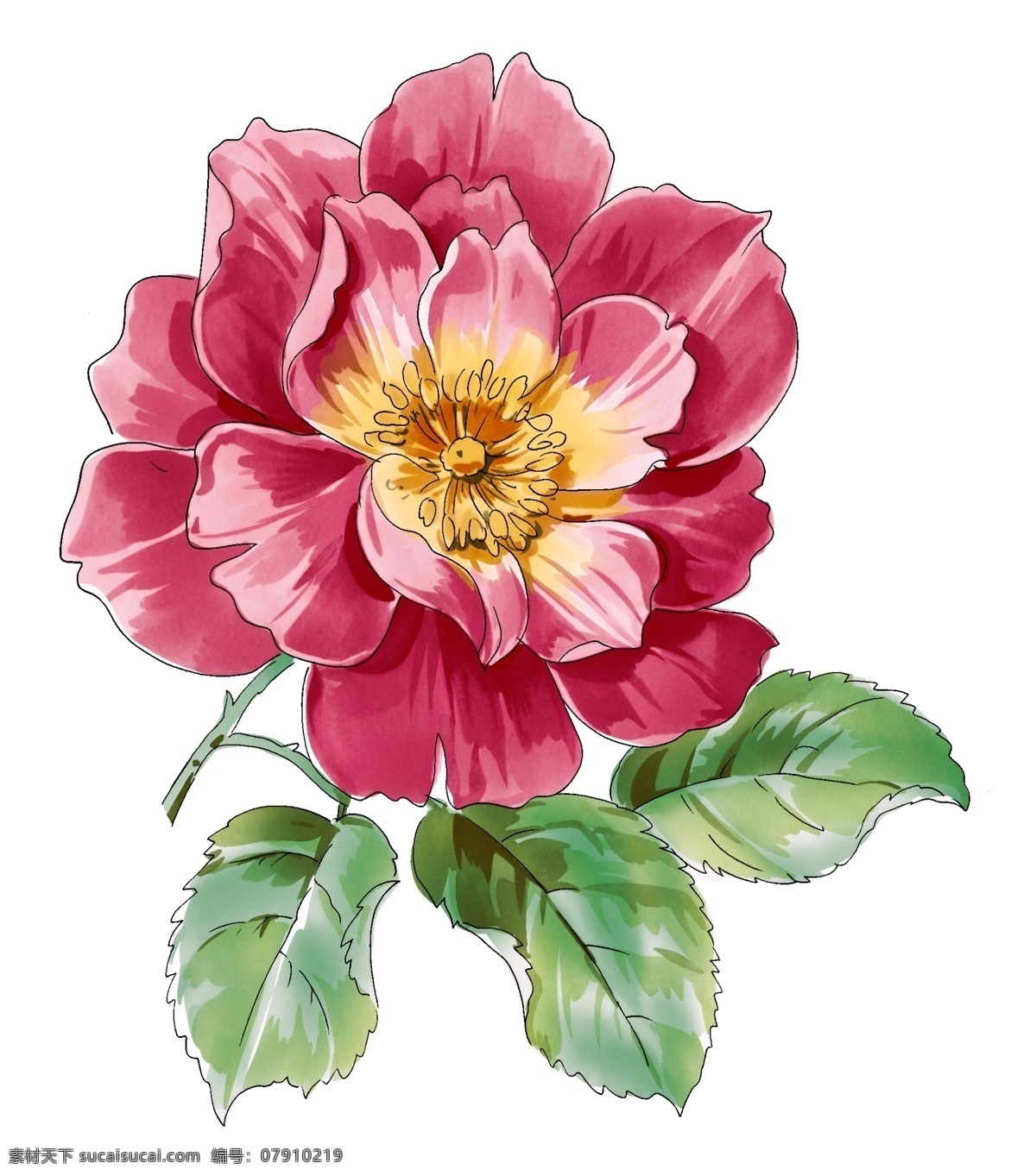 彩绘花草 韩式花纹 psd0678 设计素材 花草主题 装饰图案 psd源文件 白色
