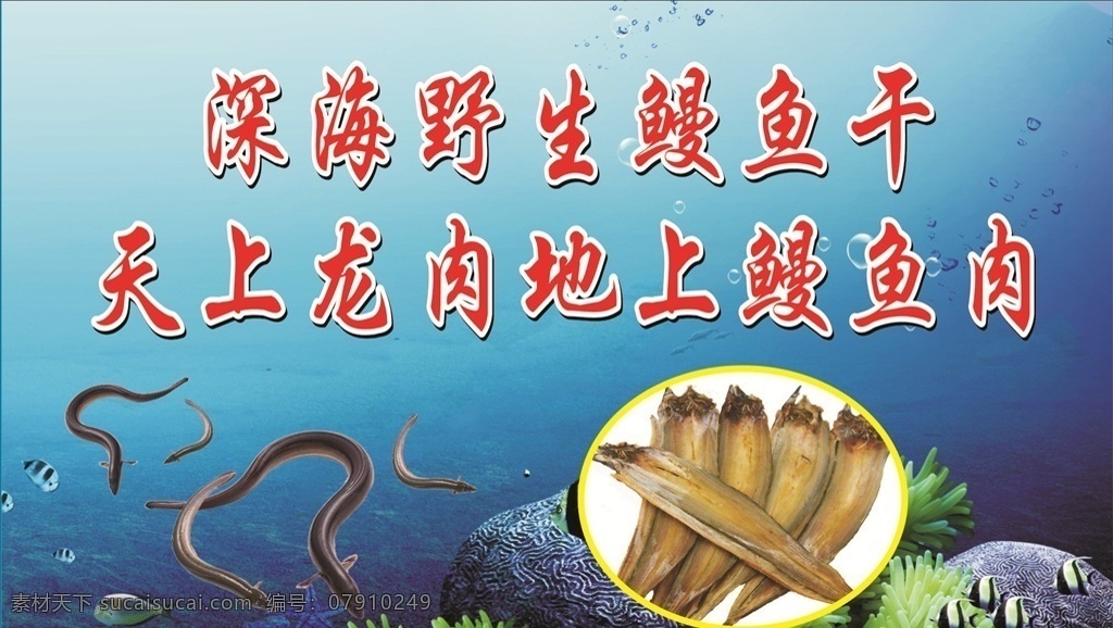 鳗鱼干 鳗鱼 酒糟鳗鱼干 美食 海产品 鱼 鱼干