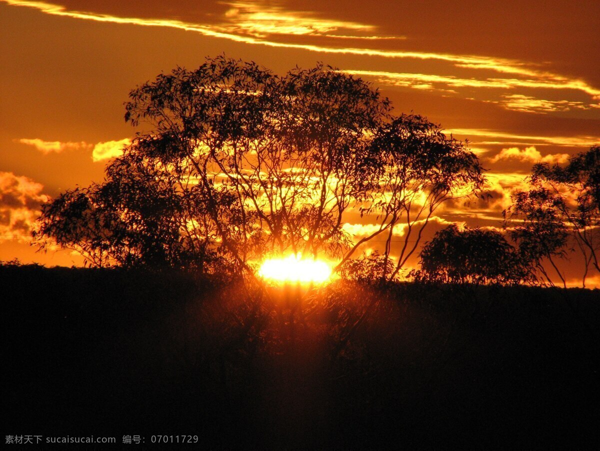 金色的夕阳 云 天空 此刻 景观 傍晚的天空 树 黄昏 设置 自然 内陆 日落 日出 剪影 枯藤 老树 昏鸦 自然景观 自然风景