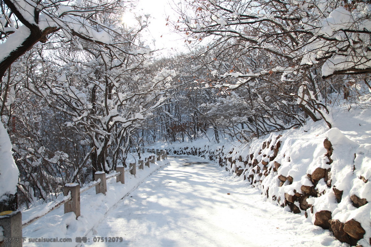 冬雪 树木 雪树 建筑 天空 路 自然风景 自然景观 灰色