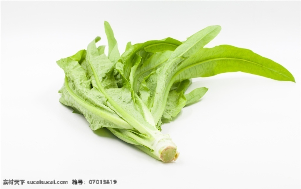 油麦菜 莜麦菜 食物 食材 餐饮美食 食物原料 食物原料01
