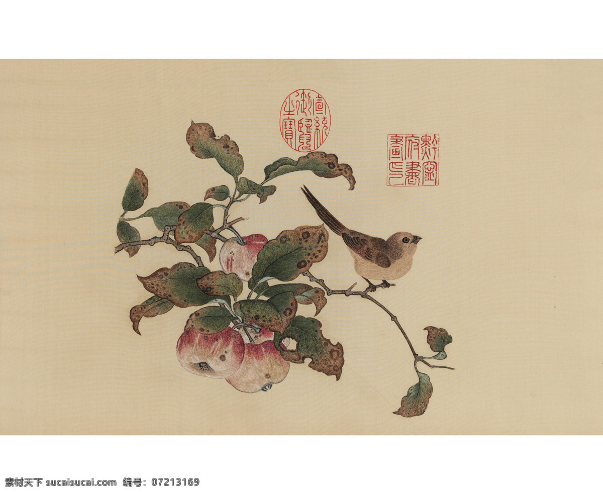 苹婆山鸟图 苹婆山鸟图页 古典 山鸟 文化艺术 绘画书法 设计图库 传统文化