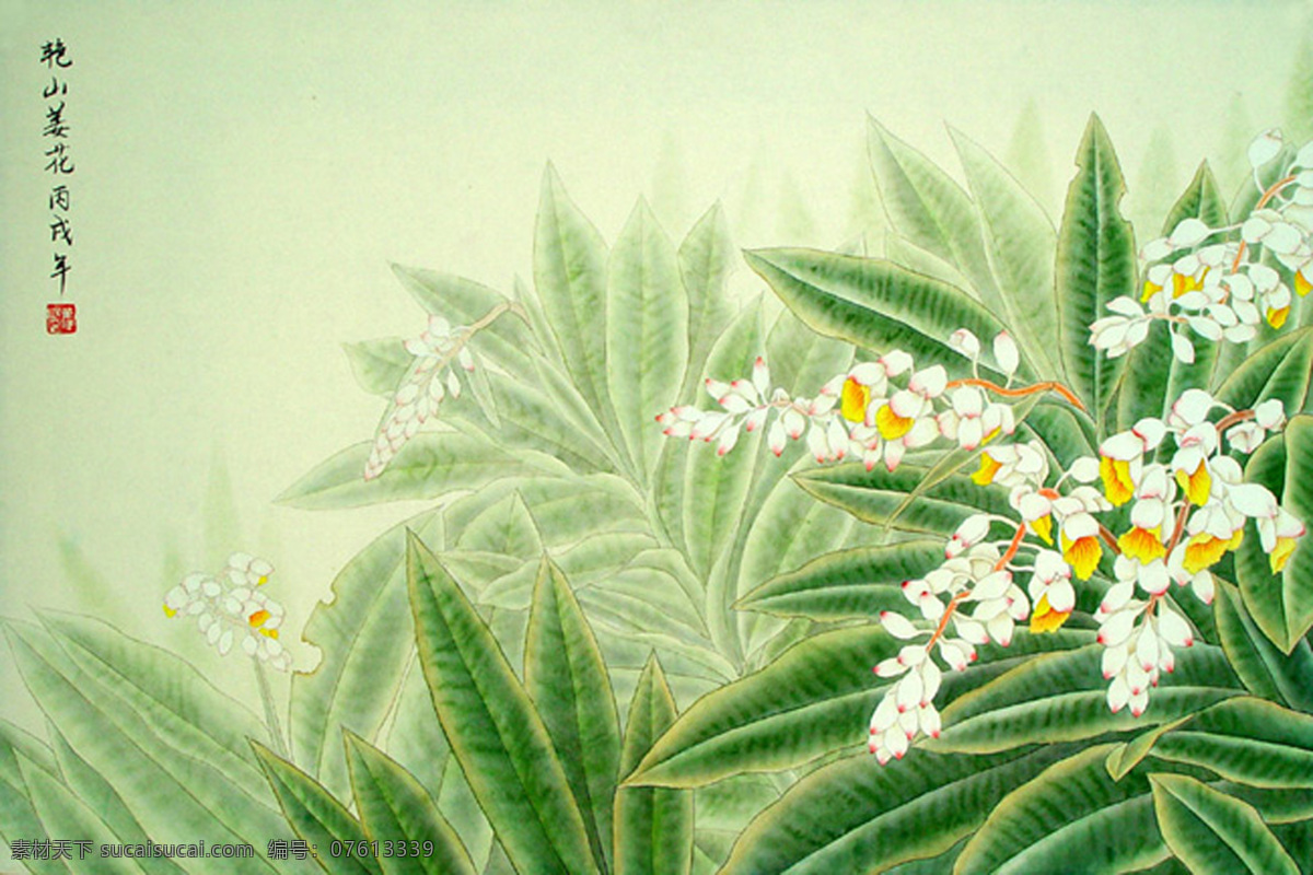 艳山姜花 工笔画欣赏 工笔画 画 花 鸟 文化艺术 绘画书法 设计图库 300