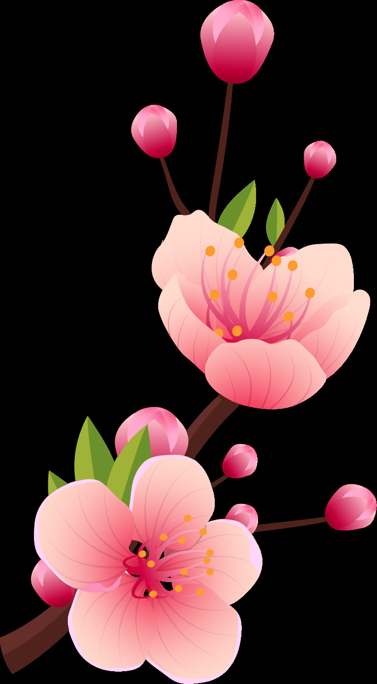 桃花 粉色 花 花枝 花苞 花朵 树枝 手绘 鼠绘 植物 卡通动画 文化艺术