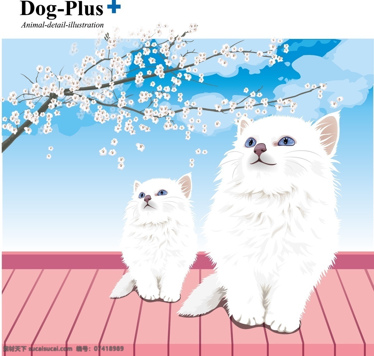 白色小猫 波斯猫 樱花下的小猫 屋顶上的小猫 白色