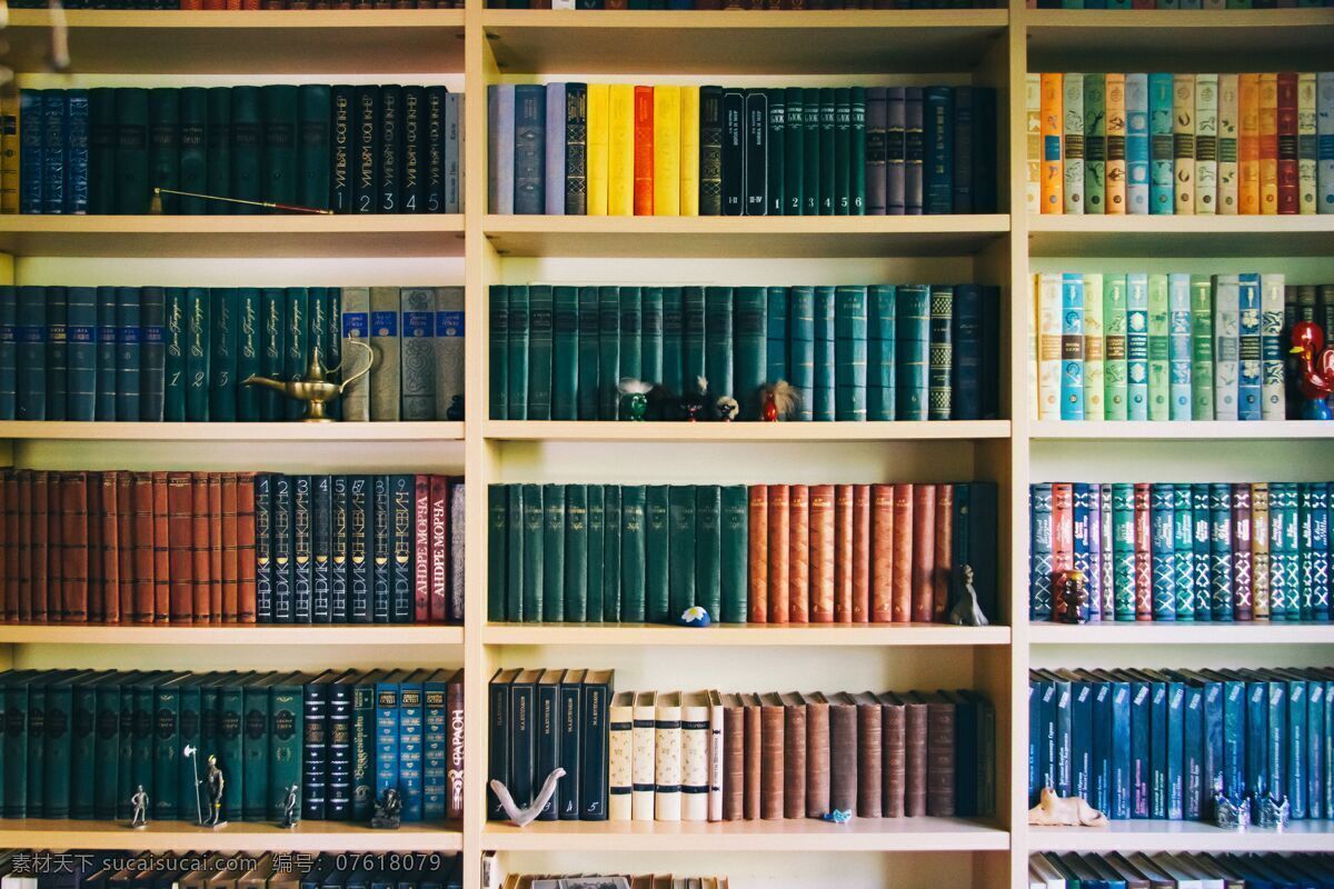 图书馆 文学 学生 学校 知识 学习 教育 背景 商业 技术 艺术 学术 分类图书 阅读 学习资料 生活 热爱读书 安静整齐 明亮宽敞 楼梯 书架 借阅 阅读中国 读者 书 整齐 生活百科 学习办公 复古式 两层