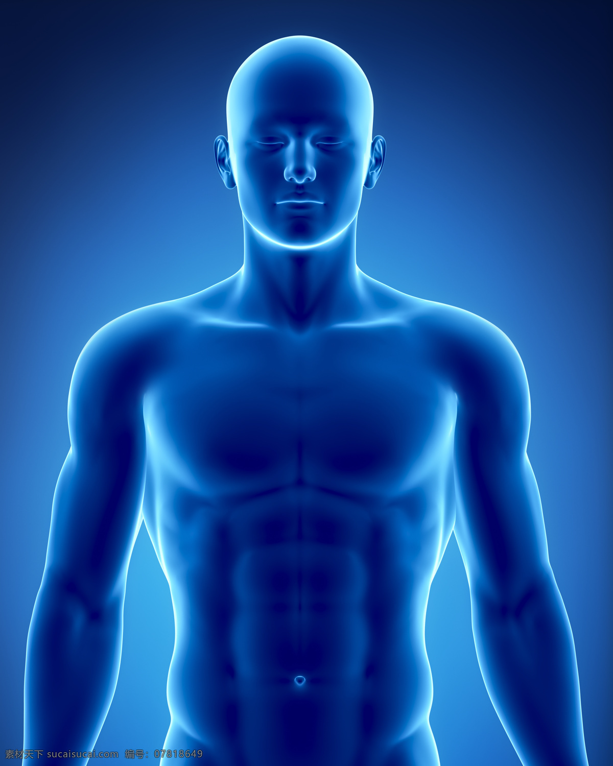 男性 人体 结构 男性器官 男性人体结构 人体器官 医疗科学 医学 人体器官图 人物图片