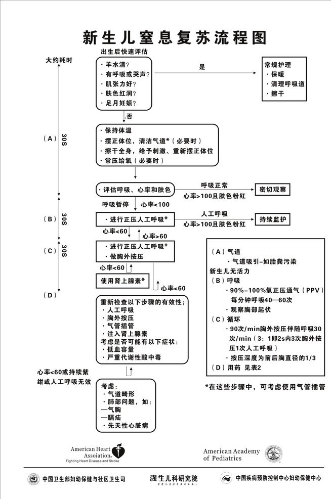 新生儿 窒息 复苏 流程图 复苏流程图 强生 中国卫生部 妇幼保健 疾病预防 控制 中心 医疗保健 生活百科 矢量