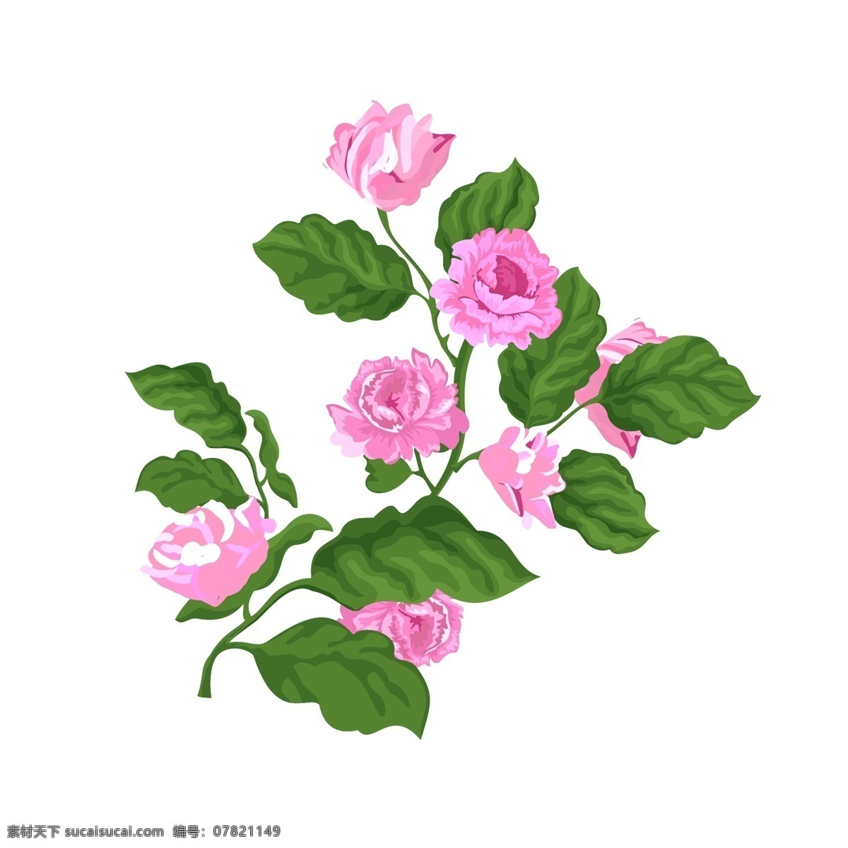 手绘 水彩 情人节 粉红色 玫瑰花 花卉 植物 叶子 手绘风