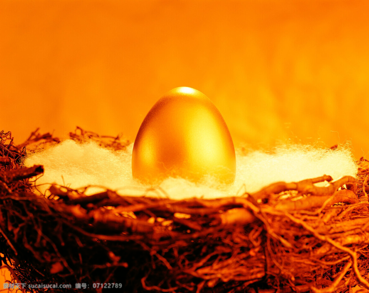 鸟巢 中 颗 漂亮 金 蛋 金蛋 金融 漂亮的金蛋 窝 生财有道 一颗金蛋 金融素材精选 金色的蛋 商务金融