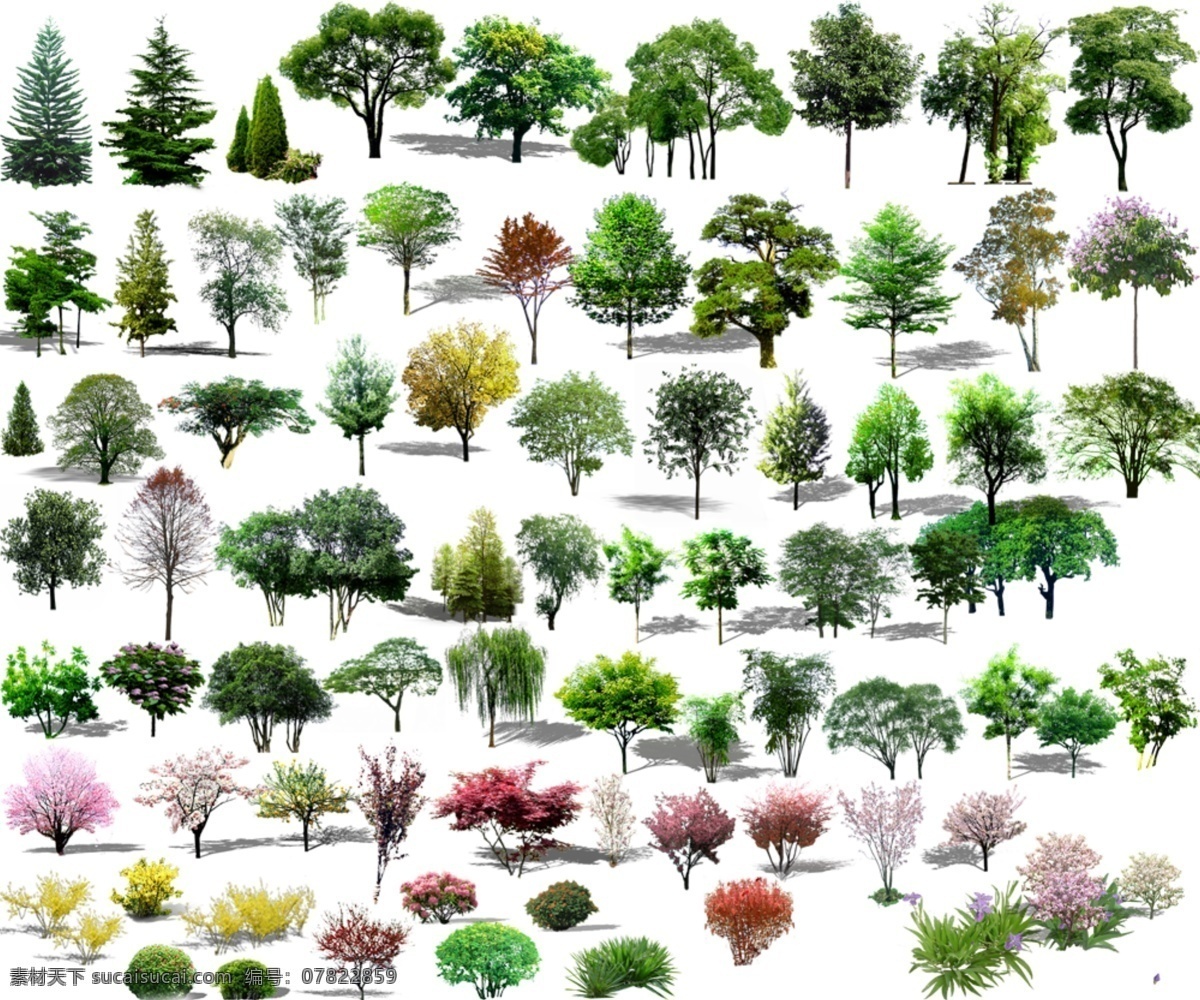 高清大量绿植 绿化 树木 高清绿植 各种景观树木 公园厂区绿化 环境设计 园林设计