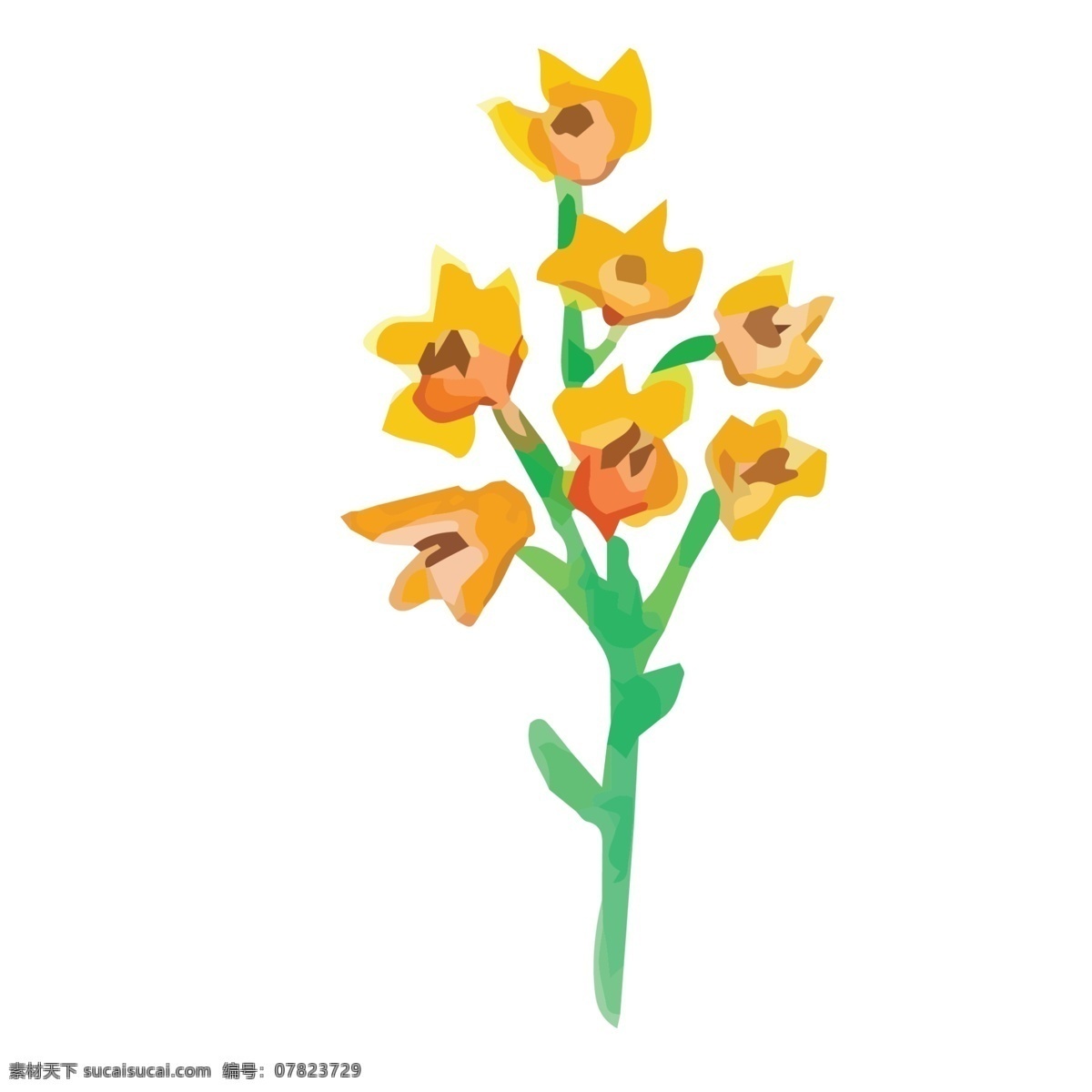 黄色 花朵 免 抠 图 一朵朵花朵 一支花朵 绿色生态 红艳艳 新鲜的植物 红色的花朵 免抠图