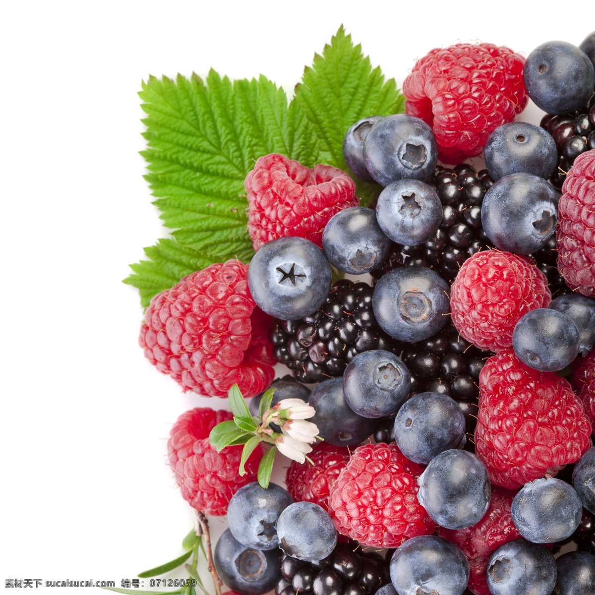 覆盆子 蓝莓 桑葚 新鲜水果 浆果 水果蔬菜 餐饮美食 白色