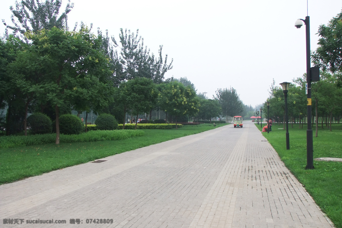 公园 道路 风景 公园风景 马路风景 道路风景 美丽风景 风景摄影 公路图片 环境家居
