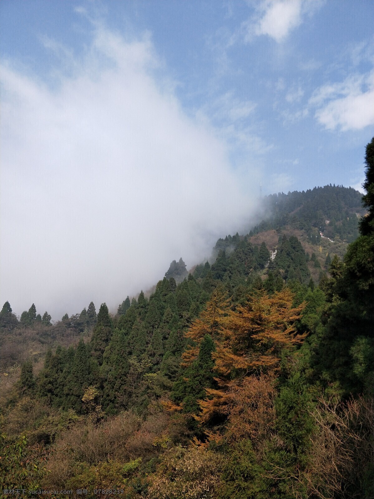 南岳衡山风光 南岳 衡山 风光 山雾 蓝天 旅游摄影 国内旅游