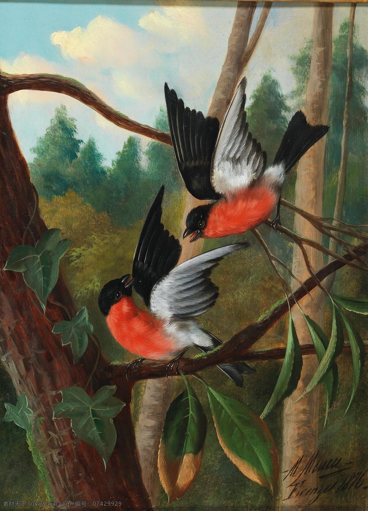 北美红雀 小情侣 成双结对 栖息 树枝上 19世纪油画 油画 文化艺术 绘画书法