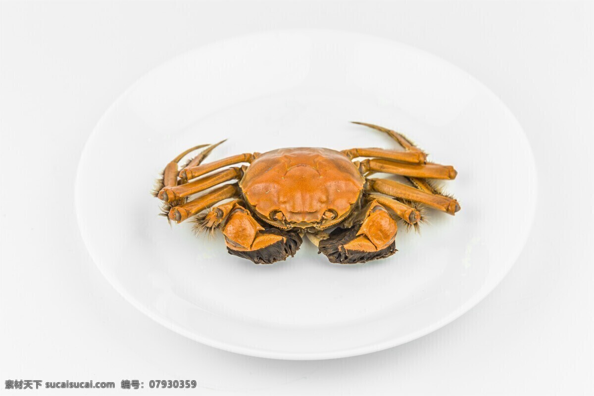 大闸蟹图片 大闸蟹 螃蟹 肉蟹 膏蟹 清蒸螃蟹 阳澄湖 阳澄湖闸蟹 美味大闸蟹 餐饮美食