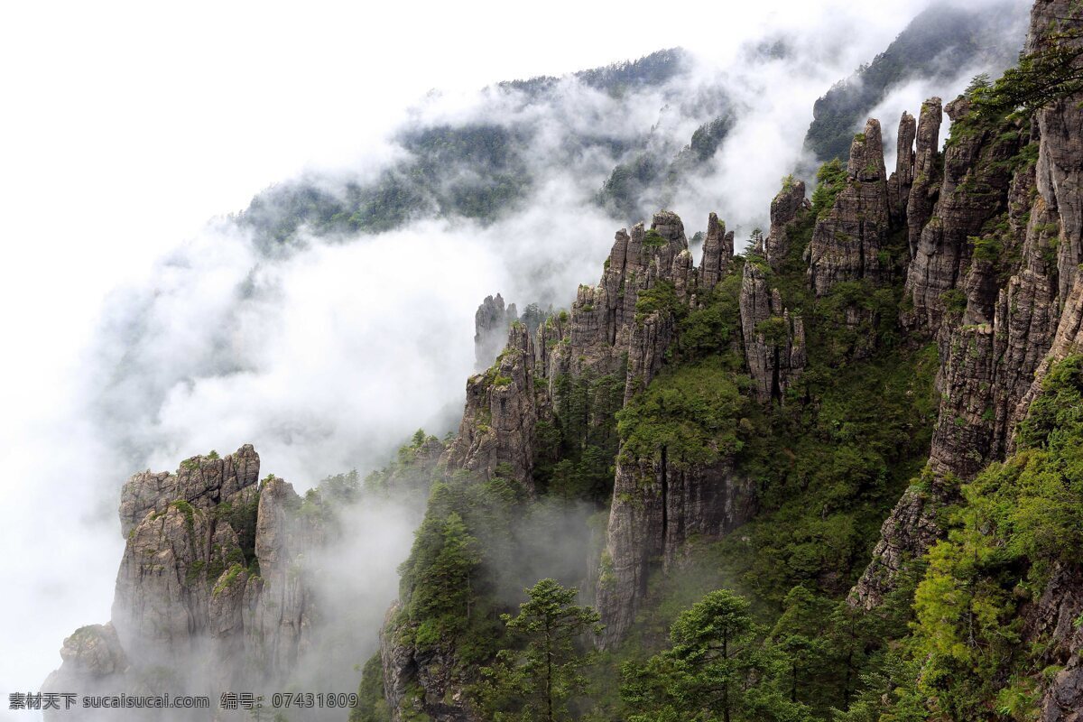 神农架 神农 谷 石林 神农谷 雾气 云海 峡谷 自然景观 山水风景