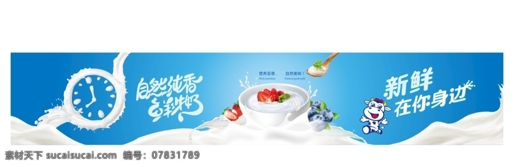 鲜牛奶 牛奶 奶制品 果味牛奶 蓝莓牛奶 草莓牛奶 自然纯香