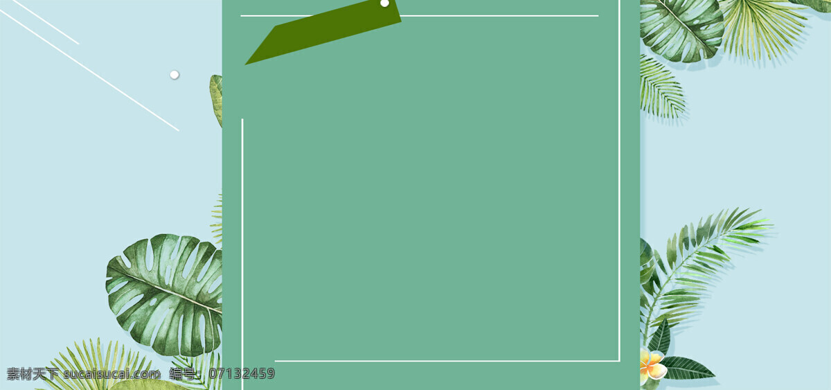 绿色 卡片 树叶 banner 背景 热带 植物树叶 绿色卡片