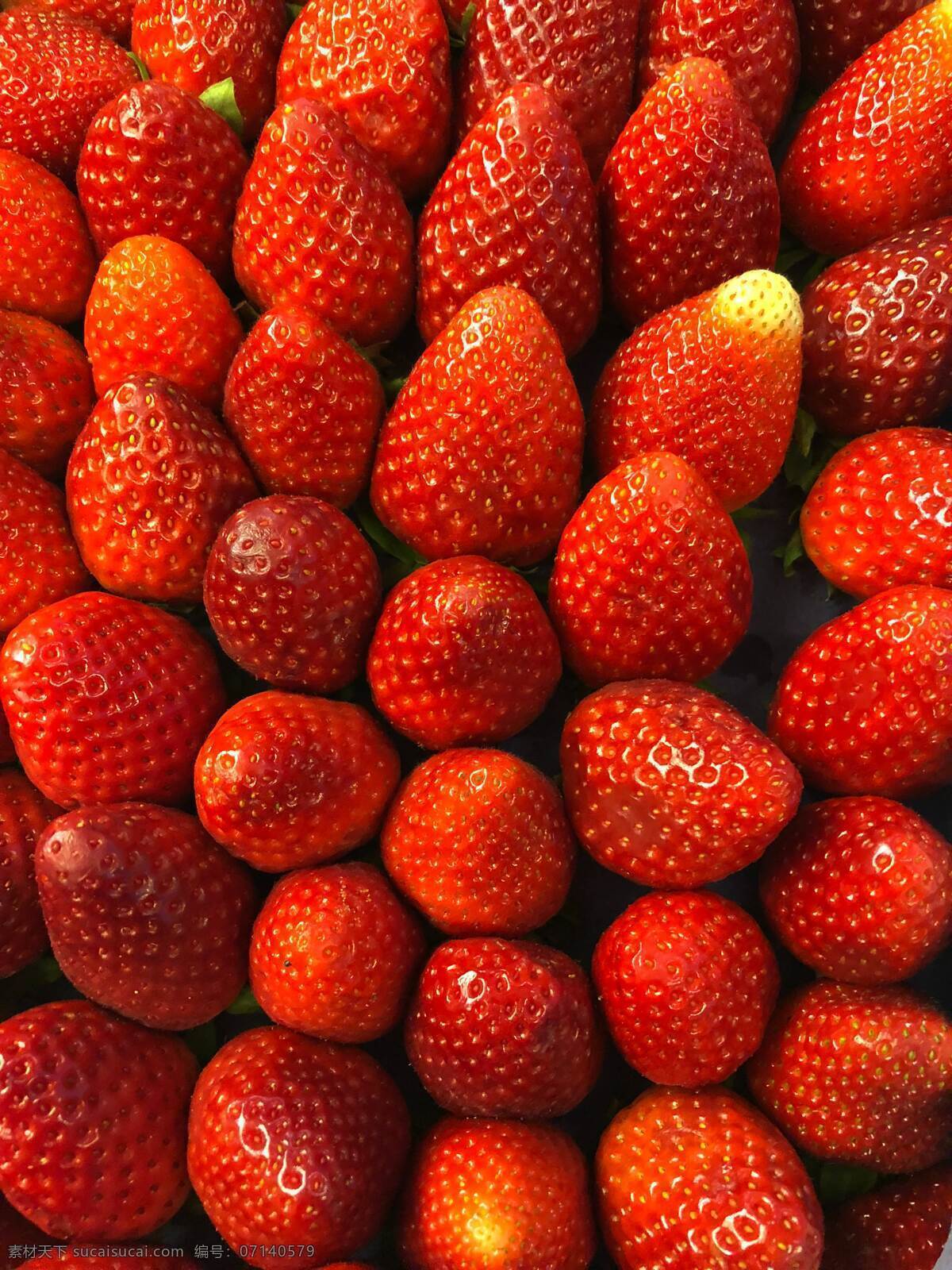 水果 有机食品 绿色食品 大草莓 奶油草莓 丹东99草莓 牛奶草莓 红颜草莓 新鲜草莓 云南牛奶草莓 有机草莓 生物世界