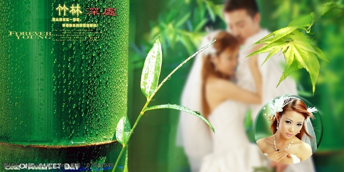 新 风尚 竹林 深处 婚纱 模板 影楼 魔法 书 dvd5 2009 婚纱照 模板下载 婚礼模板 婚庆模板 婚纱摄影 婚纱相册模板 写真模板