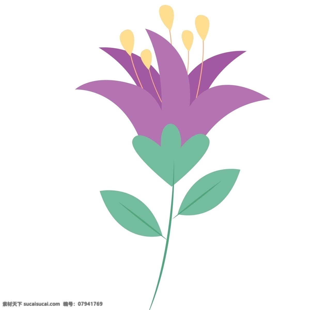 花儿 盛开 免 抠 图 紫色 花朵 漂亮的花朵 绿色生态植物 植被生长 春天到了 盛开的花朵