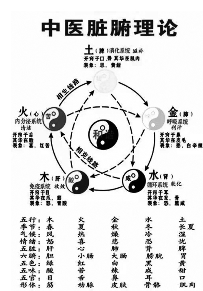 脏腑理论图片 中医 脏腑 五行 五色 理论