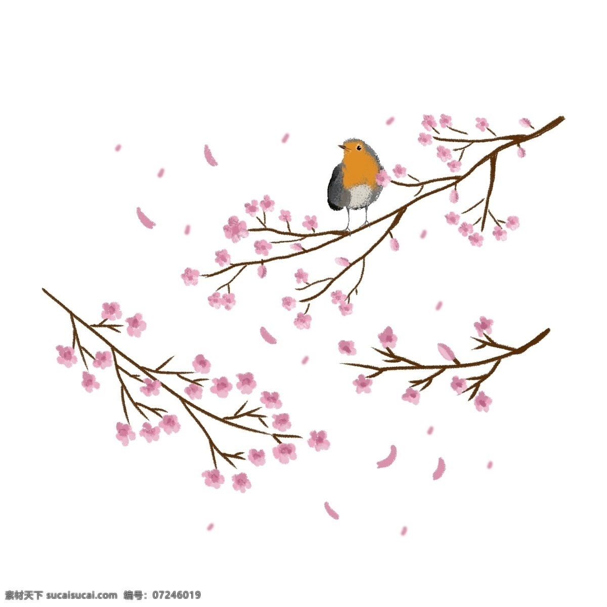 二十四节气 立春 套 图 之一 农历 春天 春季 春分 樱花 桃花 花瓣 树枝 枝头 小鸟 站立在枝头上