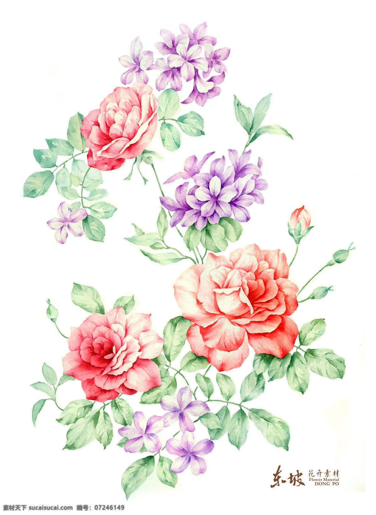 手绘花卉 花卉 手绘 花 叶子 黄色 紫色 绘画书法 文化艺术
