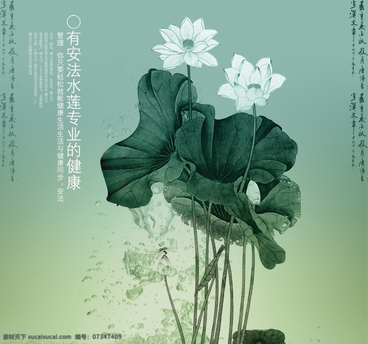 安 法 水莲 psd格式 安法水莲 创意图片 高清图片 国画风格 精美图片 实用图片 印刷适用 植物 psd源文件