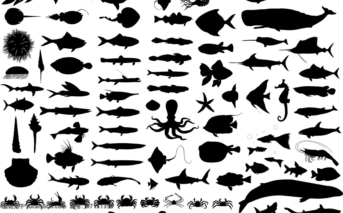动物剪影 鲸鱼 鲨鱼 虾 章鱼 蟹 水母 海马 海星 海螺 石斑鱼 虹鱼 剑鱼 各类深海鱼 生物世界 海洋生物