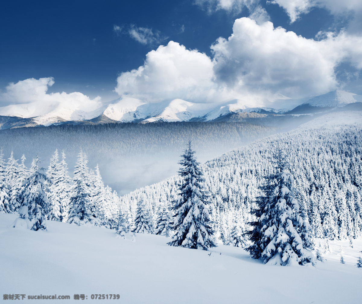 冬季 美景 冬天 雪景 美丽风景 景色 积雪 雪地 森林 树木 冬季景观 山水风景 风景图片