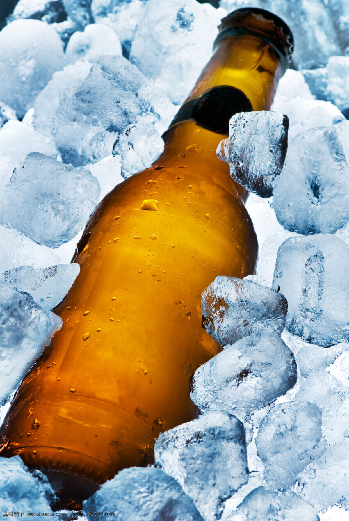 冰块 堆 里 瓶 冷饮 冰 冰冷 许多冰块 瓶子 一个瓶子 一瓶 玻璃瓶 饮料 冰块堆 啤酒 高清图片 酒类图片 餐饮美食