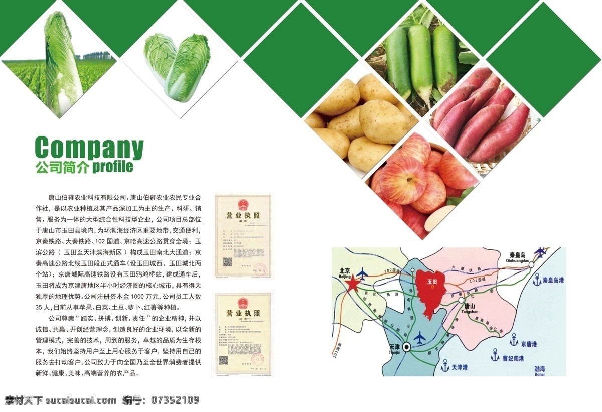 农产品 彩页 公司简介 农产品画册 白菜 土豆 红薯 苹果