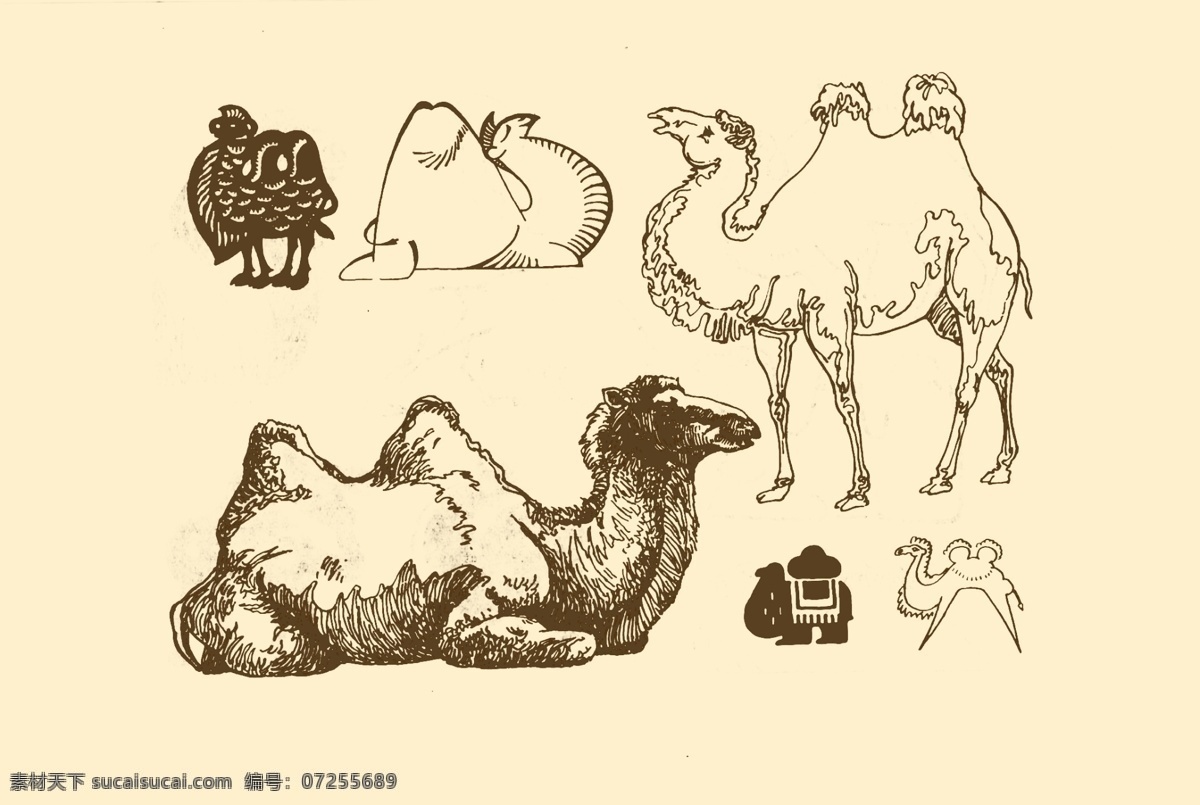 动物图案 骆驼 卡通 动物 纹样 图案 白描 简笔画 儿童画 沙漠之舟 分层 源文件